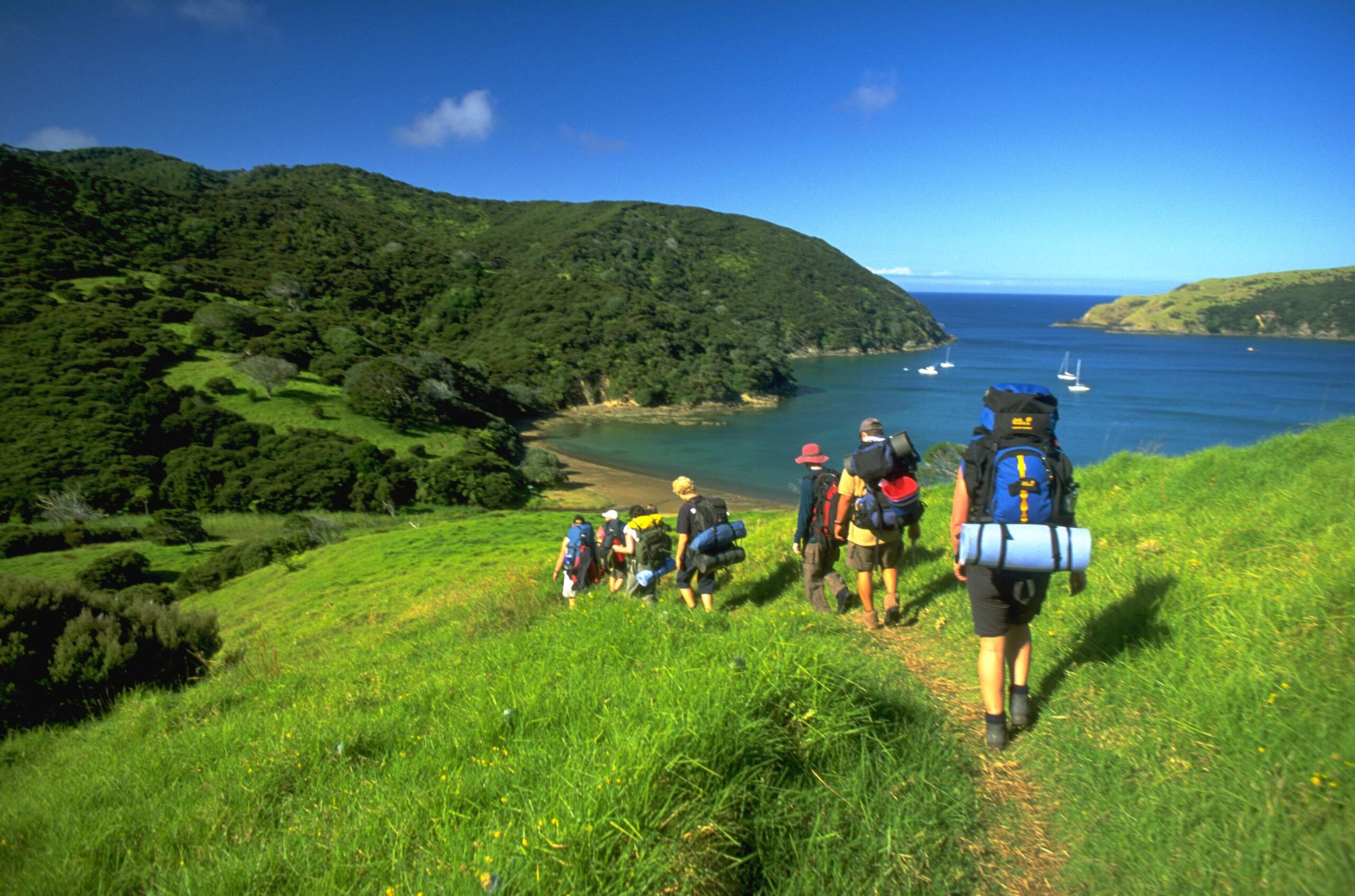 Hiking