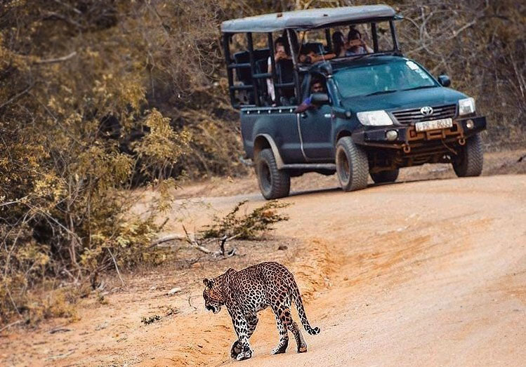 Kumana National Park