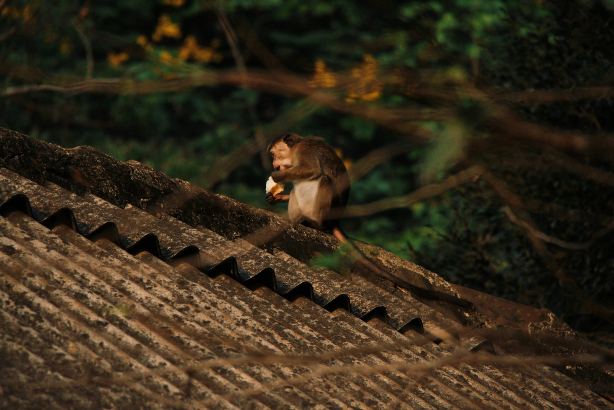 Activity Image 2