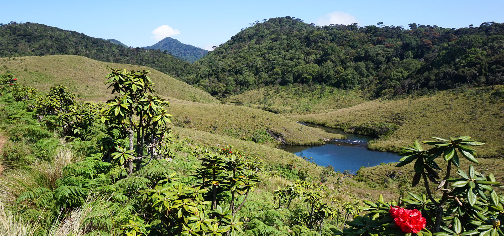 Horton Plains