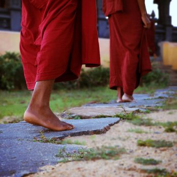 pexels-sadaham-yathra-249884-776291