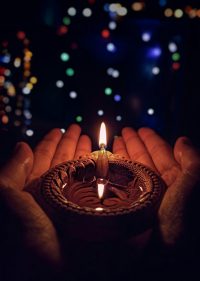 umesh-soni-H4ilfu3vftk-unsplash umesh-soni-H4ilfu3vftk-unsplash